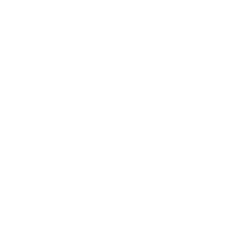 vission
